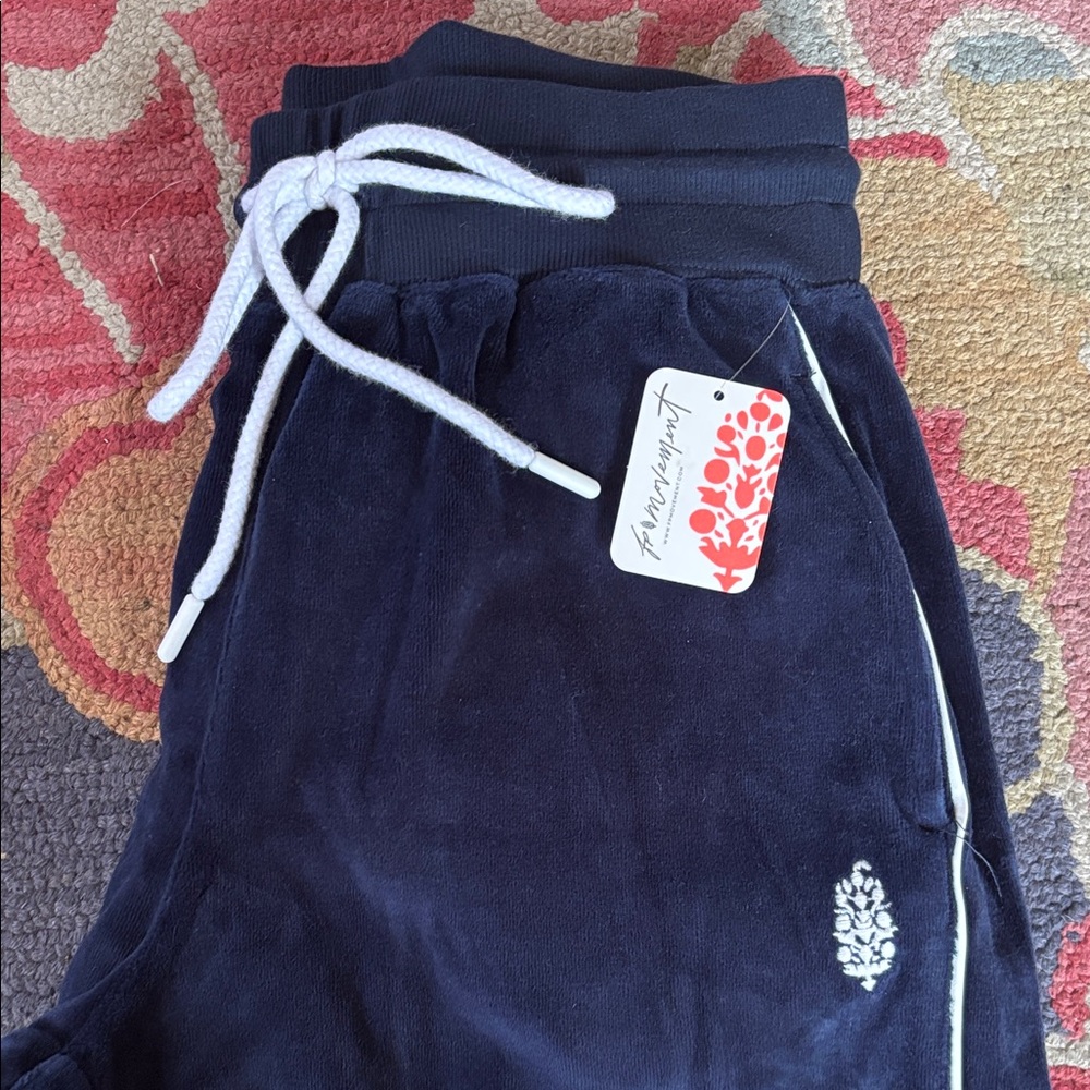 Woman’s Navy velour pants free people movement small nwt